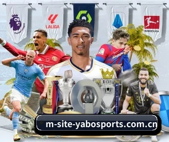 亚博体育平台 APP